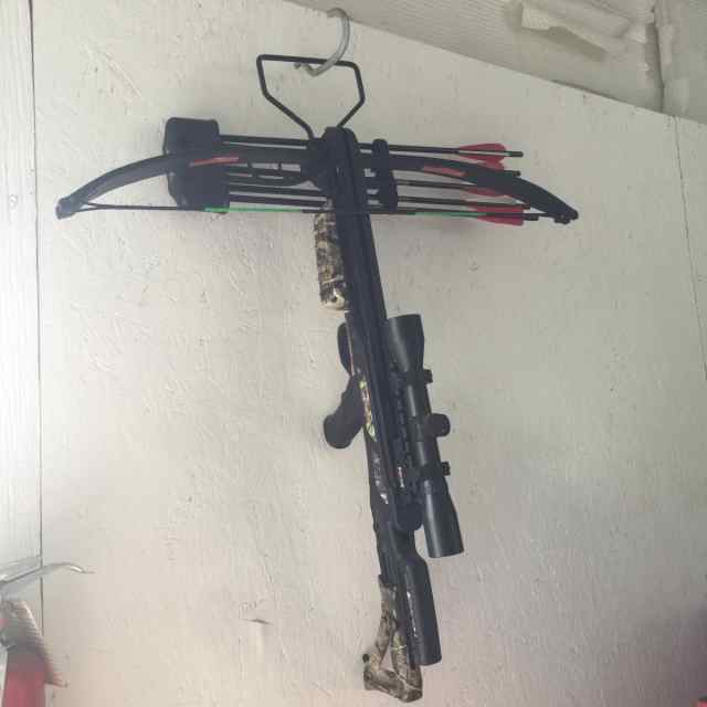 Crossbow and fishing compound bow rig