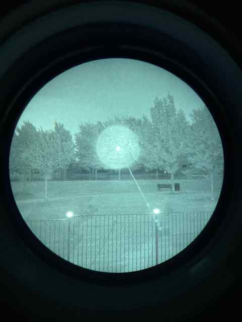 IMG_7198.jpeg