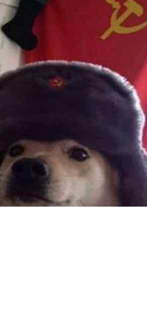 Communist doggo.jpg