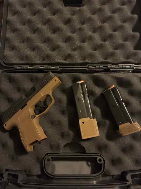 Sig 365 in FDE