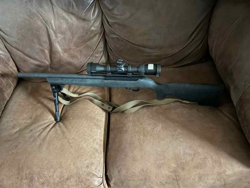 Ruger target/tactical model 10/22VLEH 