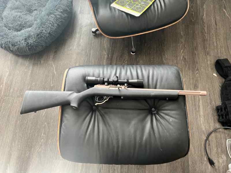 RUGER 10-22 TACTICAL SOLUTIONS 