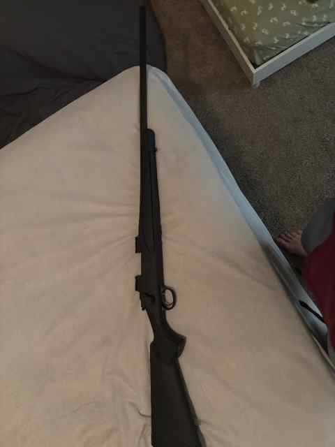 Remington 700 223