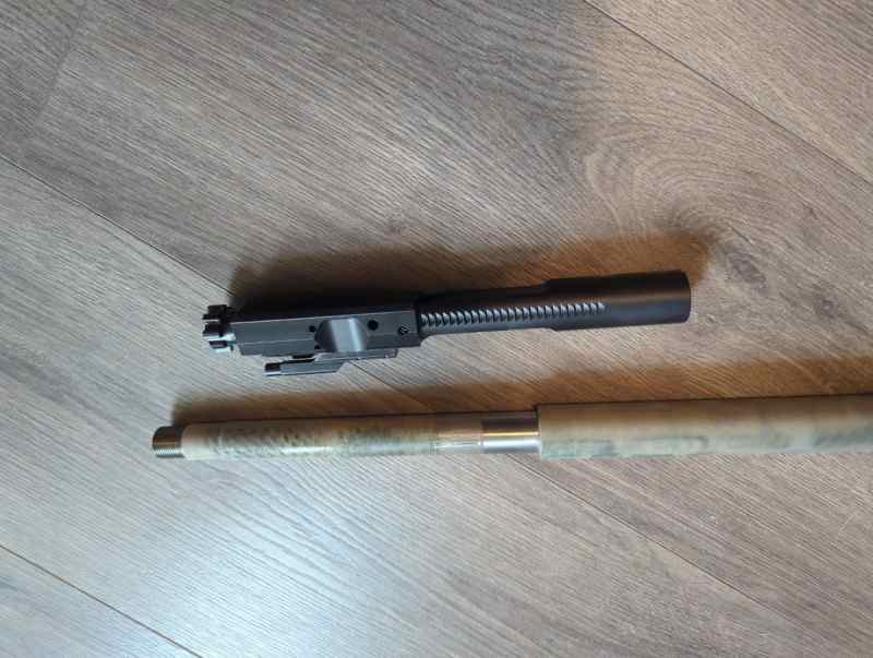 PSA AR-10 308 bolt carrier assembly