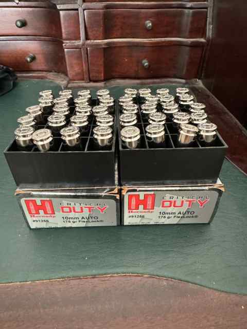 Hornady Critical Duty 10mm