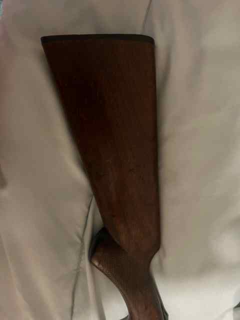 IMG_3689.jpeg