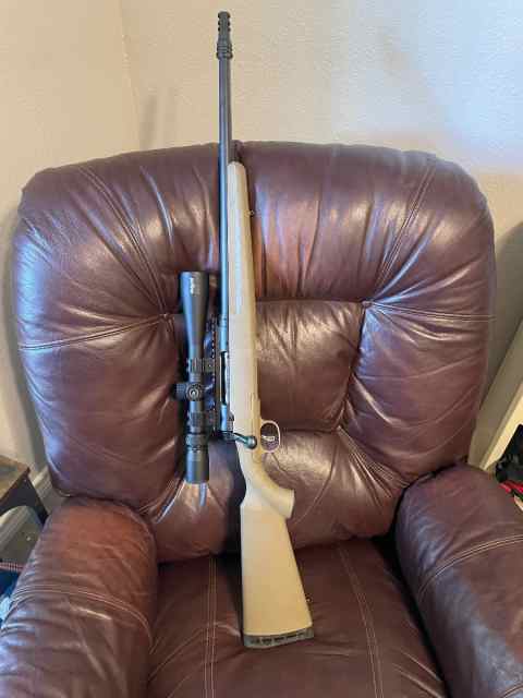 Savage .308