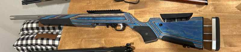 Ruger 10/22 custom