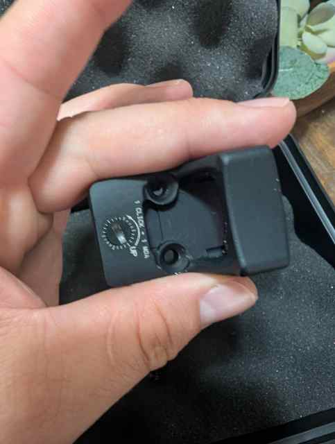 PXL_20250608_194932795.jpg