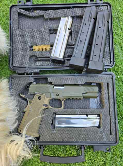 Tisas 1911DS Duty package