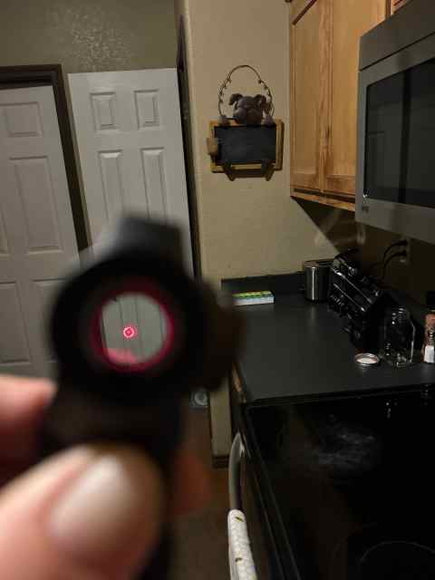 IMG_9558.jpeg