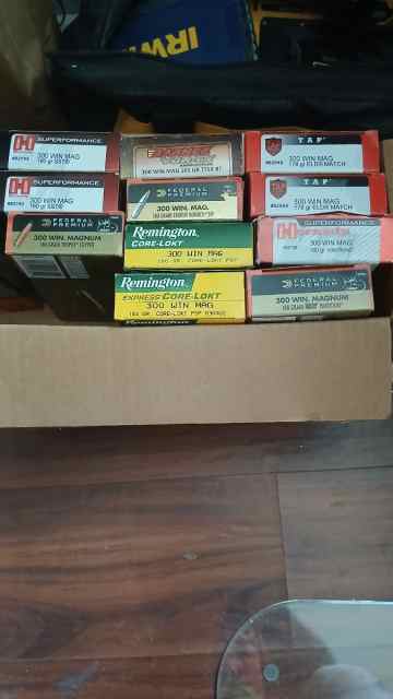 300 WIN MAG AMMO 200 ROUNDS