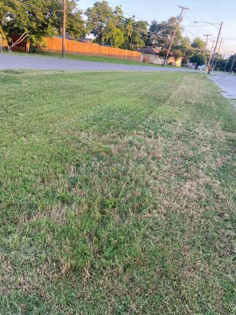 Need your yard done ? 
