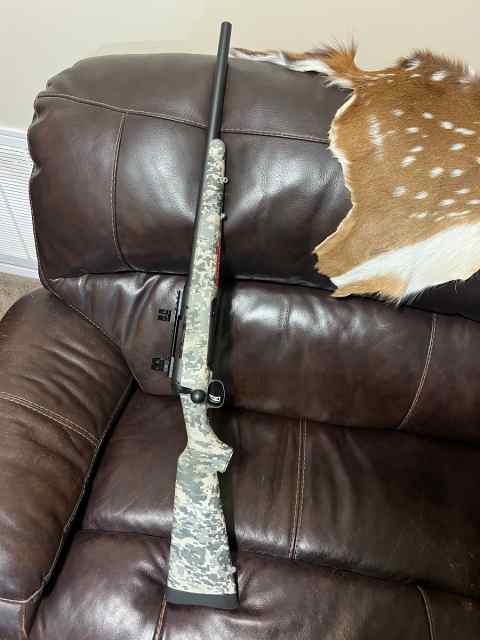 Savage model 10