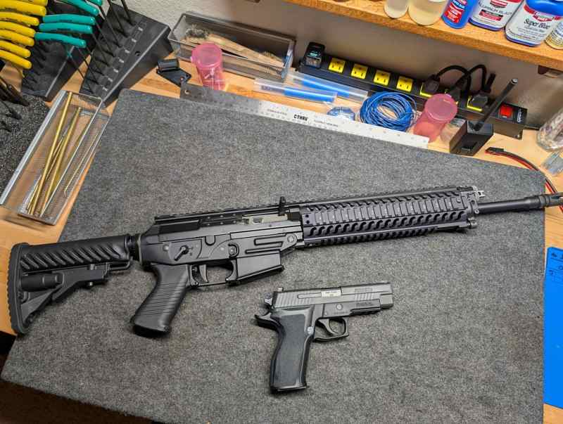 Sig 556