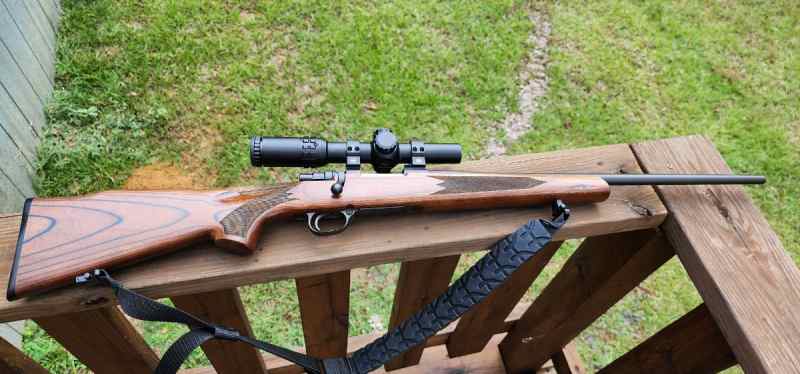 Remington 799 7.62x39