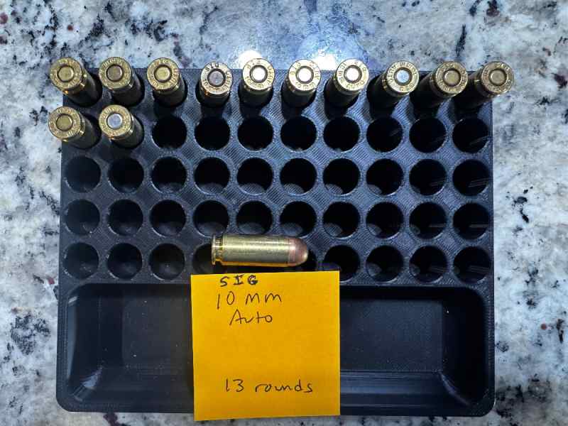SIG 10mm auto - 13 rounds - loose