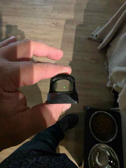 20250604_174252.jpg