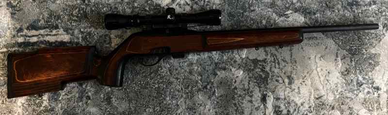 Remington 597 (.22lr) in Boyd’s wood stock