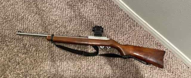 Ruger 10/22 w/ Red Dot