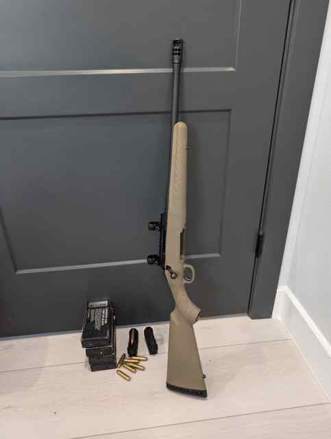 Ruger American 450 Bushmaster with ammo