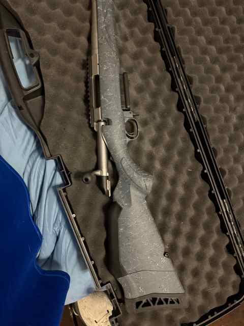 Ruger 308