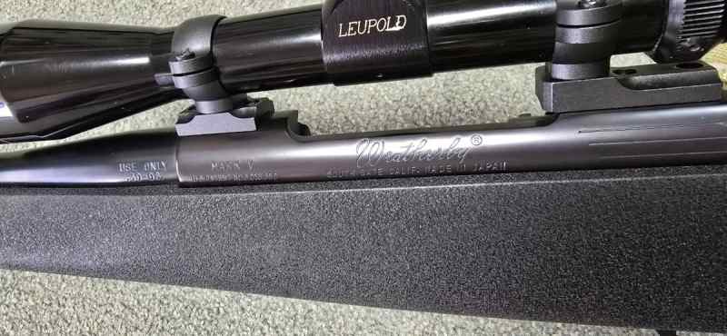 3006 weatherby 1.jpg