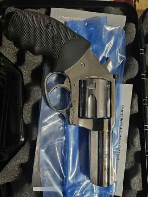 Charter Arms Mag Pug 357