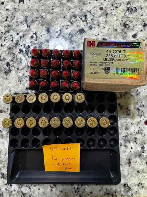 Hornandy 45 COLT 225 gr FTX LEVERevolution + loose