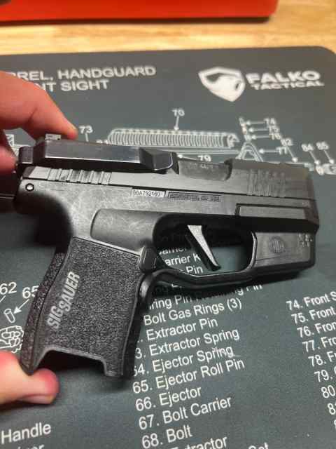 Sig 8.jpeg