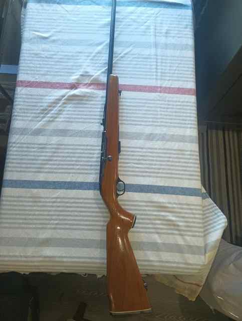 22 wmr rifle  , 22 magnum 