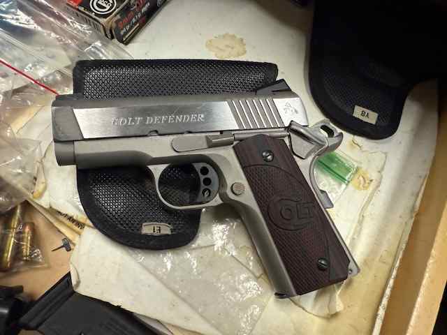 Colt1.jpg