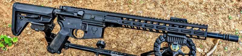 Stag Arms Stag-15