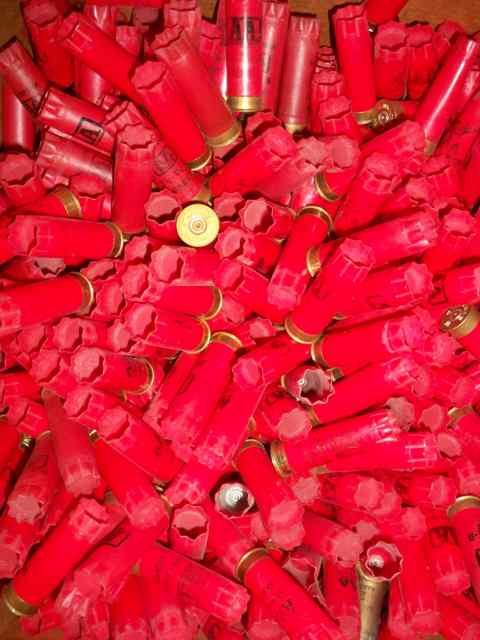 ONCE FIRED SHOTGUN HULLS 12 &amp; 20 GUAGE,