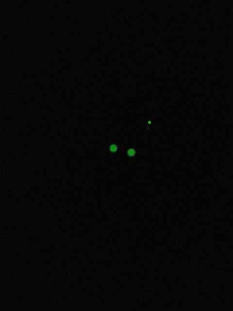 IMG_7935.jpeg