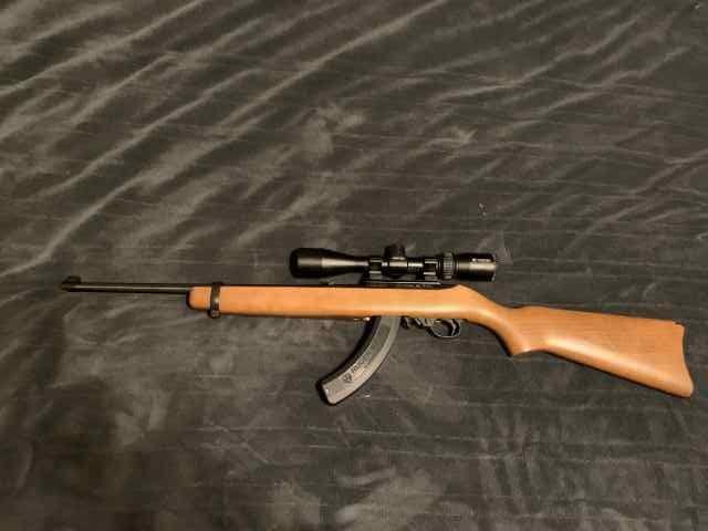 Ruger 10/22