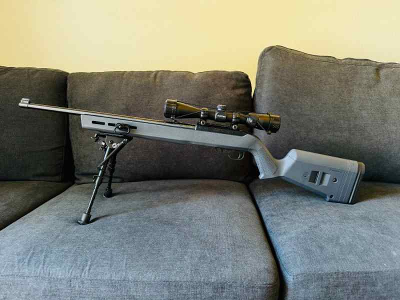 Ruger 10/22 with Extras