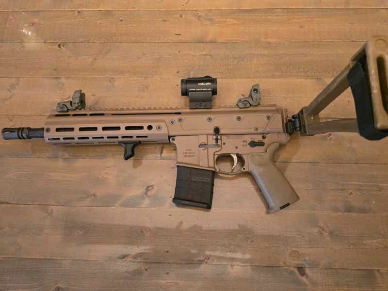 PSA , FDE Jakl 5.56, Brace, Holosun,Ex Cond,FSFT 