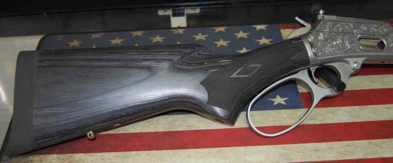 boar rt stock.JPG