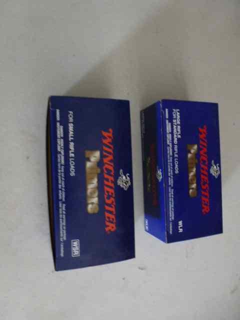 P1010417.JPG