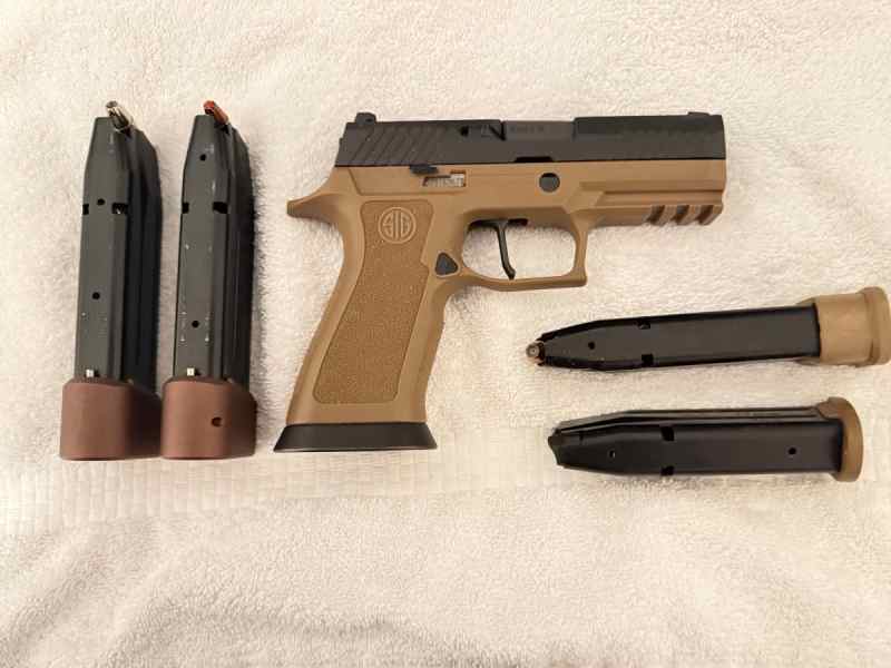 Sig P230 Carry