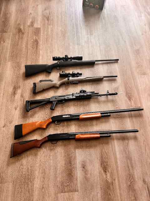 Safe clean out Multiple Rifles/Shotguns
