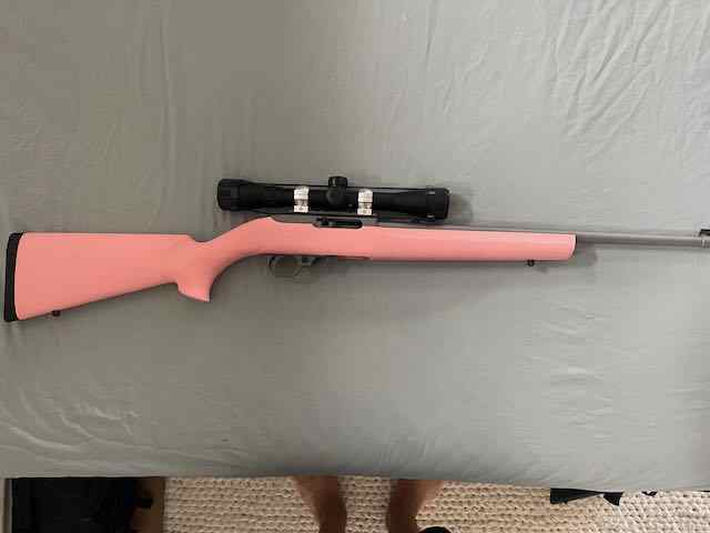 Ruger 10/22 - Pink Hogue Stock, Stainless &amp; Scope