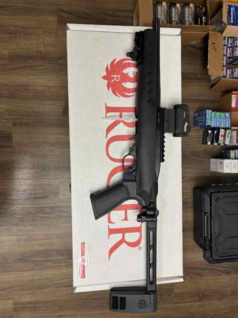 Ruger 10/22 Charger - folding brace - sig reddot